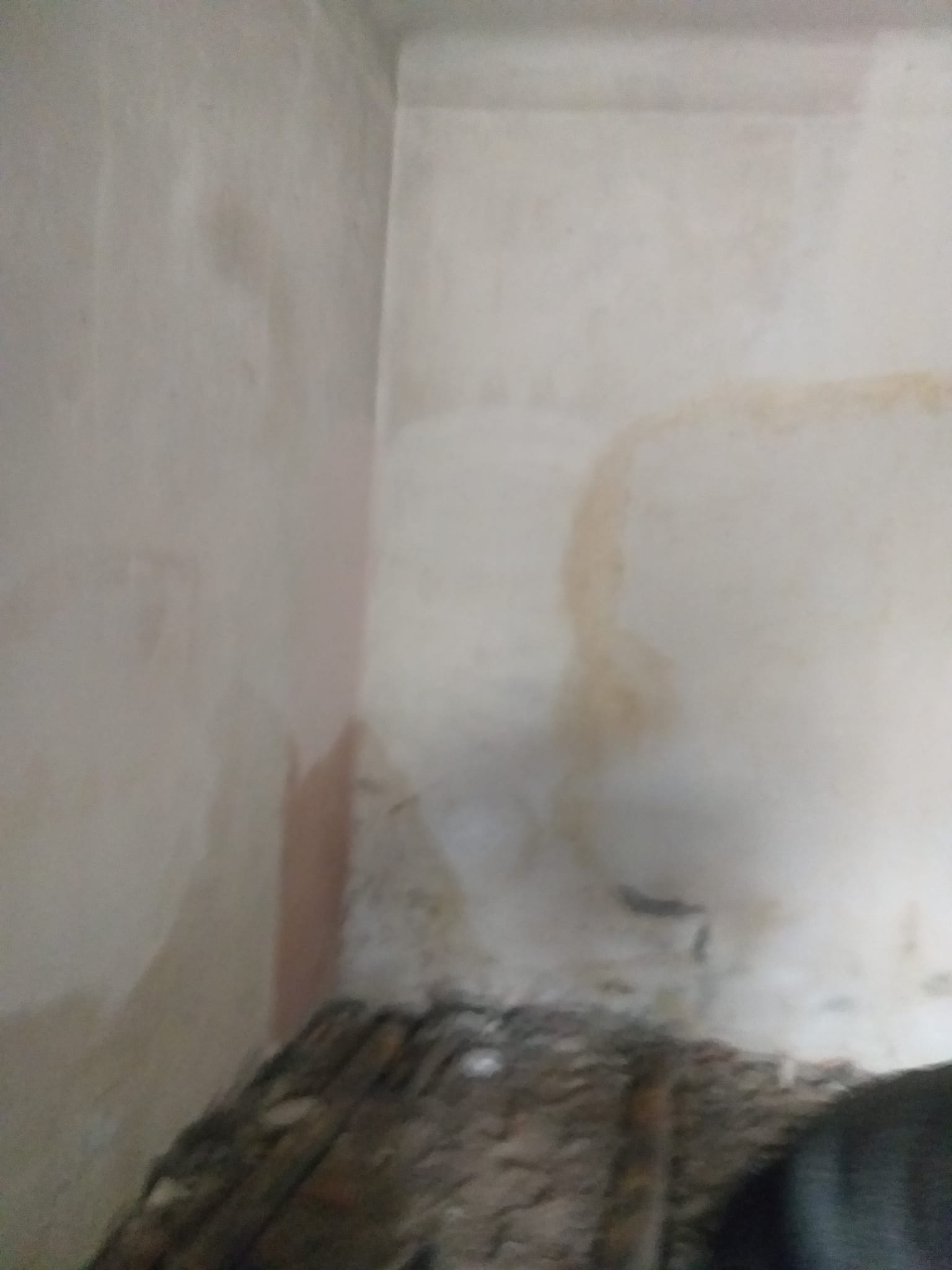 WhatsApp%20Image%202024 04 11%20at%2014.13.14.jpeg